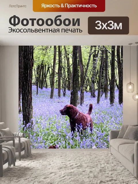 Фотообои Собака в лесу с Колокольчики