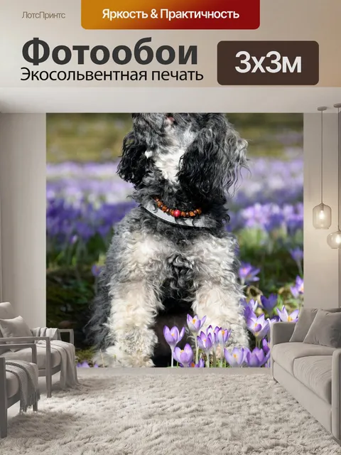 Фотообои Собака