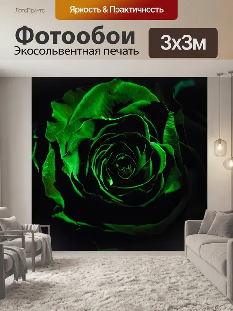 Фотообои Роза