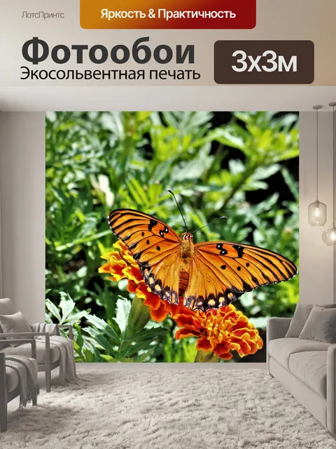 Фотообои Залив Fritillary на календуле