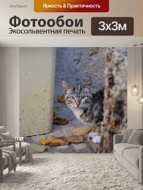 Фотообои Природа