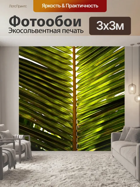 Фотообои Кокосовый лист