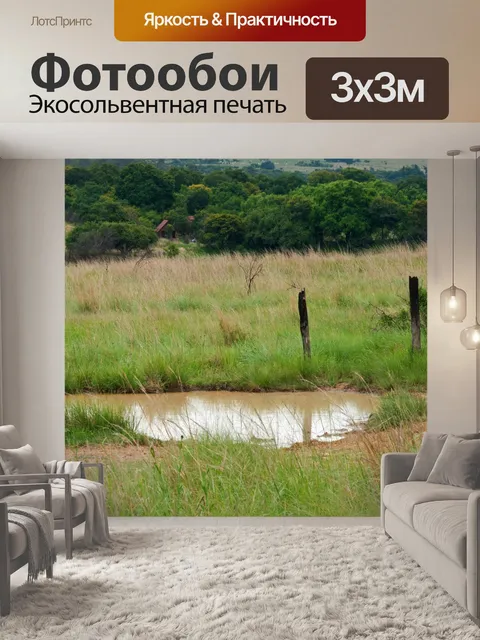 Фотообои лужа дождевой воды на луге