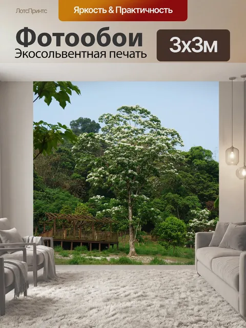Фотообои Цветущее дерево тунга