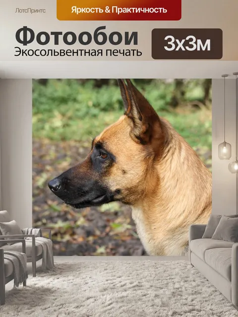 Фотообои Малинуа