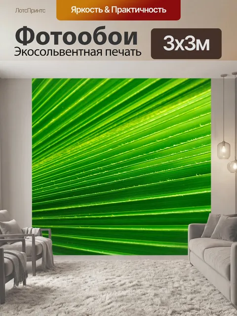 Фотообои Зеленый лист пальмы
