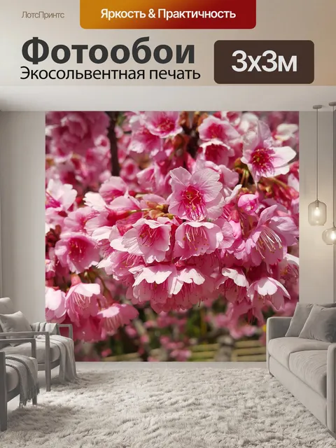 Фотообои Сакура