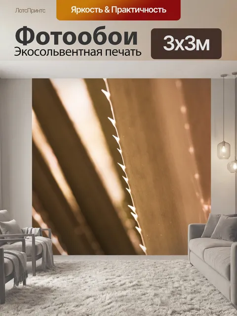 Фотообои Алоэ Вера лист подробно