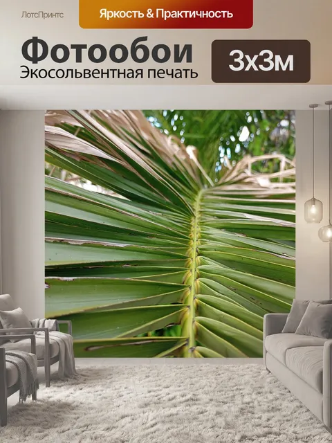 Фотообои Пальма