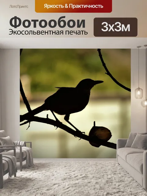 Фотообои Птица