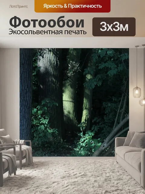 Фотообои Лес