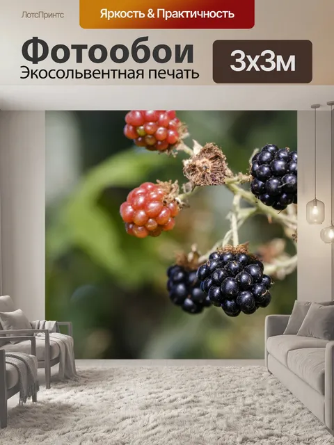 Фотообои Ежевика
