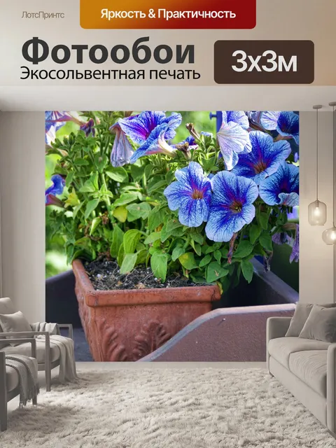 Фотообои Анютины глазки
