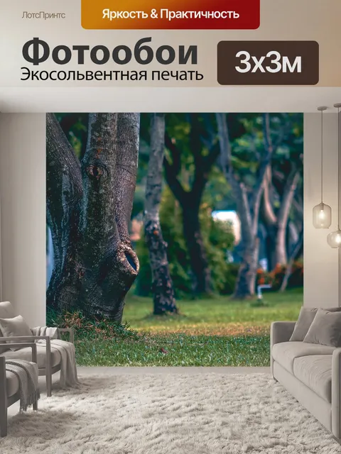 Фотообои Ствол
