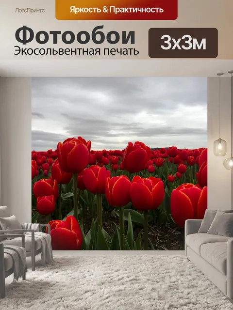 Фотообои Тюльпаны