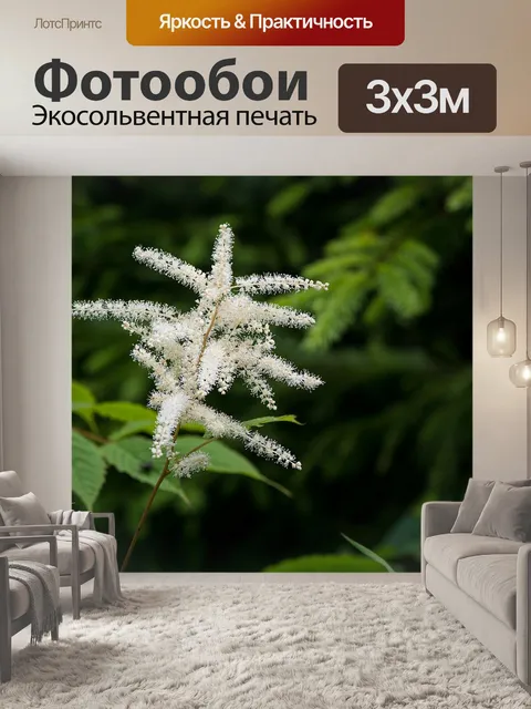Фотообои Лесной лонжерон