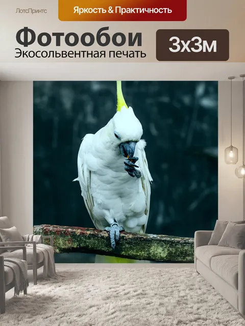 Фотообои Белый