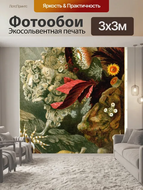Фотообои Коралловые анемоны океанского рифа