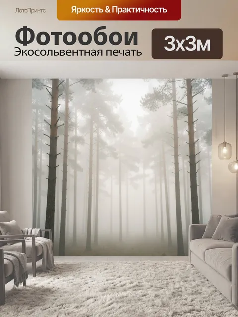 Фотообои Туманный сосновый лес