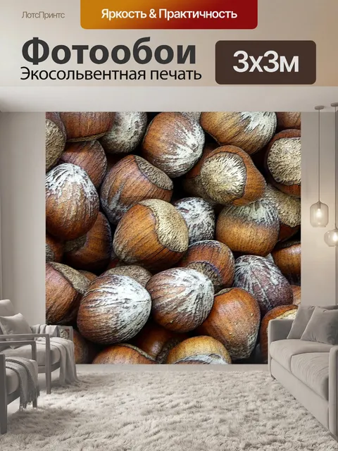 Фотообои Фундук