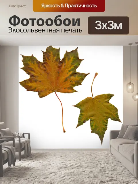 Фотообои Листья