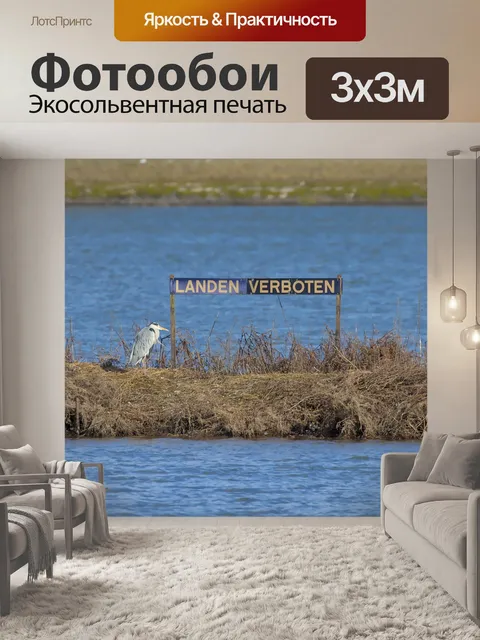 Фотообои Серая цапля