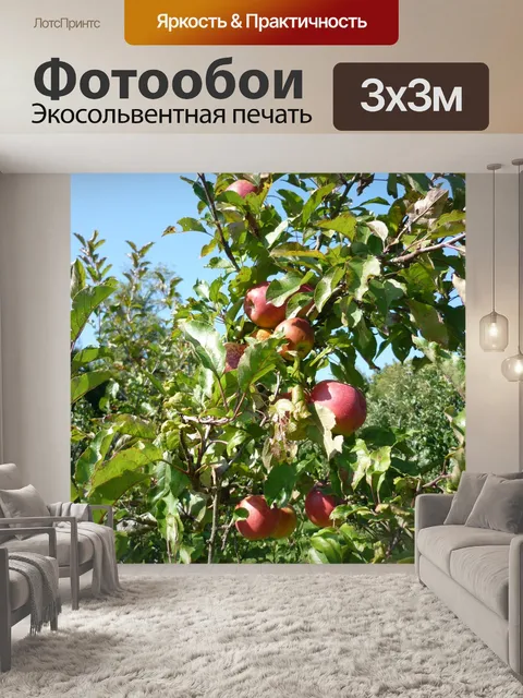 Фотообои Яблоко