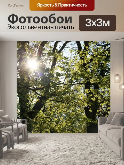 Фотообои деревья с ВС сквозь
