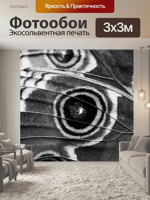 Фотообои Крыло бабочки макро