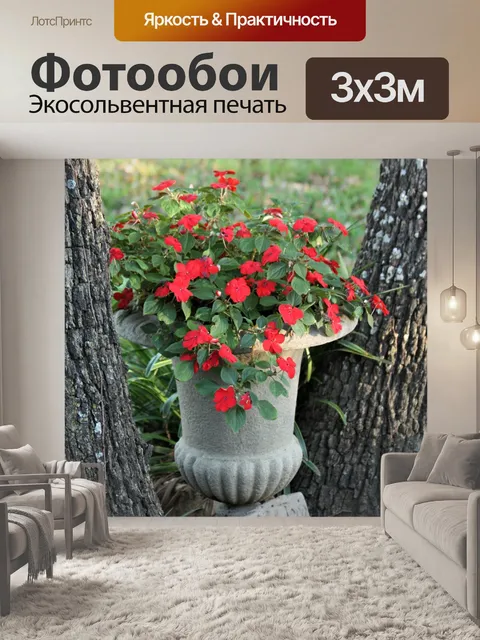 Фотообои Красный Impatiens Открытый Декор