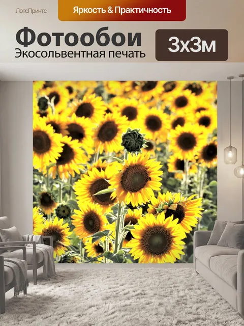 Фотообои Вернуться Lit Подсолнухи в поле