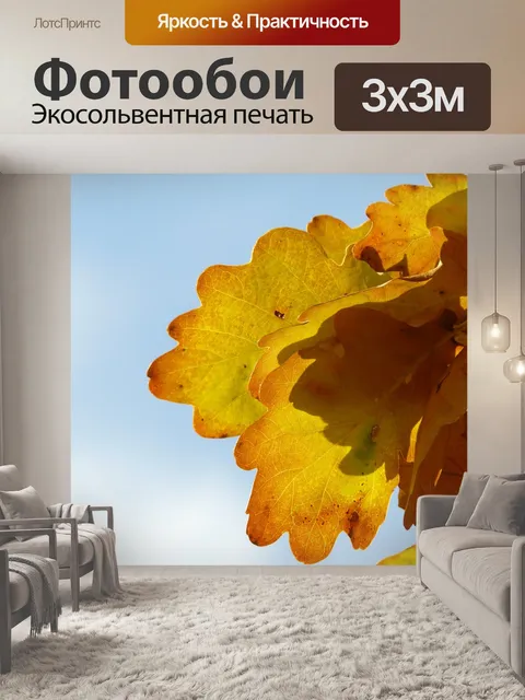 Фотообои Дубовые листья