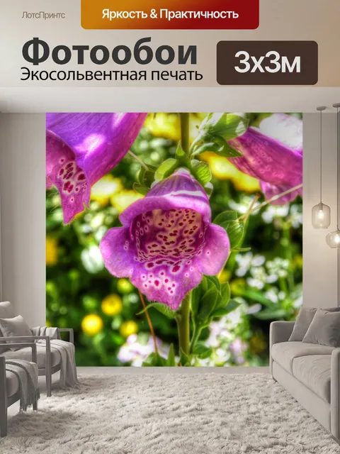Фотообои Розовые цветы