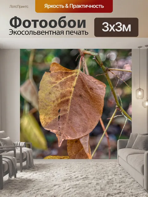 Фотообои Падение