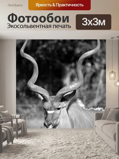 Фотообои Фотографии, которые выглядят как буквы