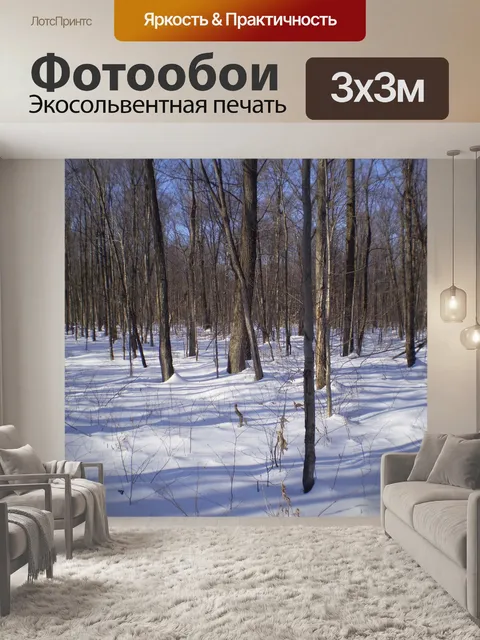 Фотообои Лес в зимнее