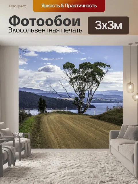 Фотообои Дорога