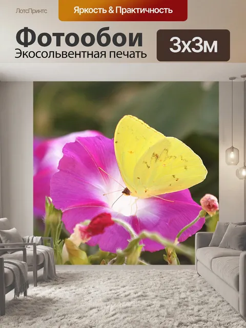 Фотообои Желтая бабочка на розовом цвете