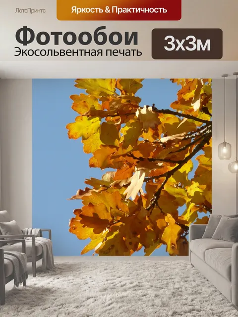 Фотообои Дубовые листья