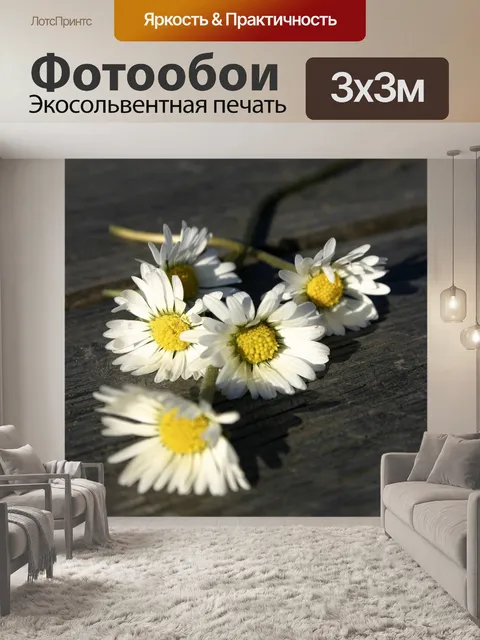 Фотообои Белый