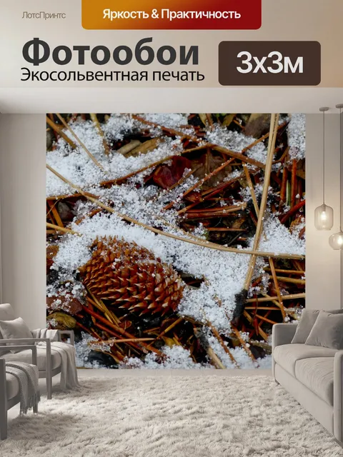 Фотообои Сосновая шишка в снегу