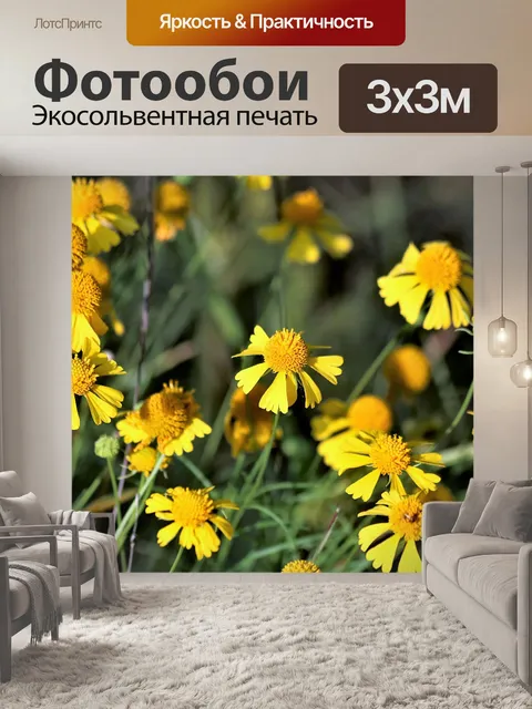 Фотообои Желтые раковины дикой природы