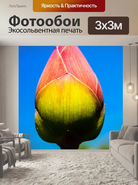 Фотообои цветок лотоса