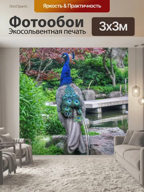 Фотообои Павлин
