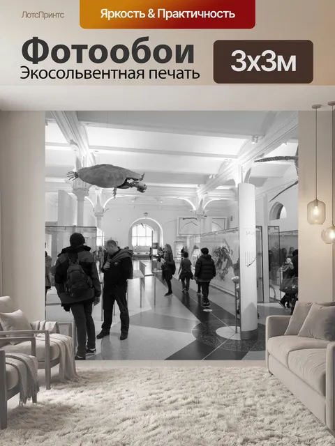 Фотообои Американский музей естественной истории