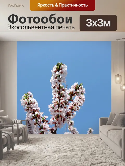 Фотообои Вишня
