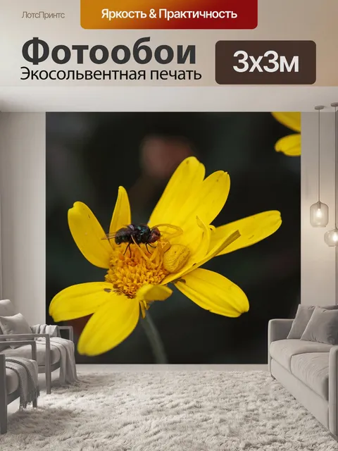 Фотообои желтый краб паук на желтой маргаритке