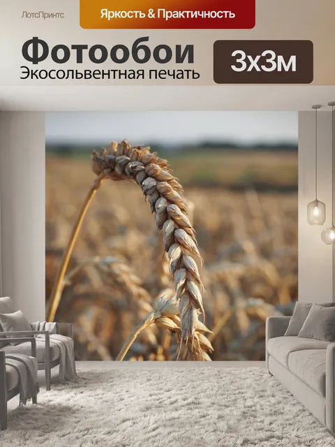 Фотообои Пшеница