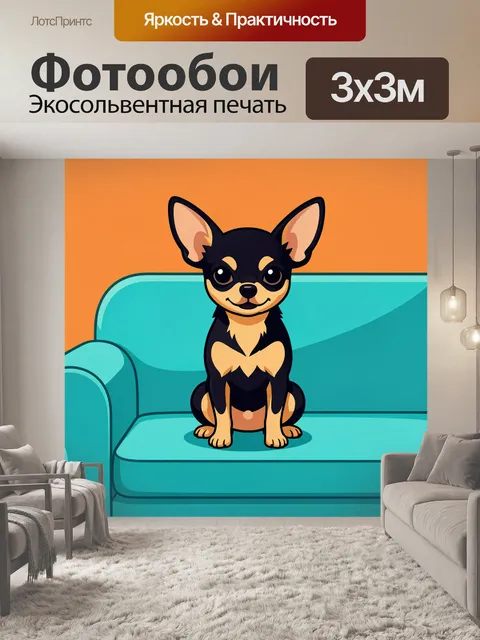 Фотообои Чихуахуа на бирюзовом диване
