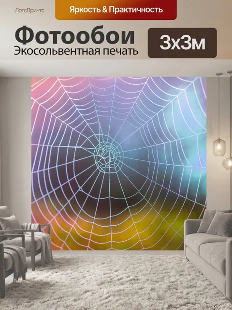 Фотообои Паутина вода падает красочно